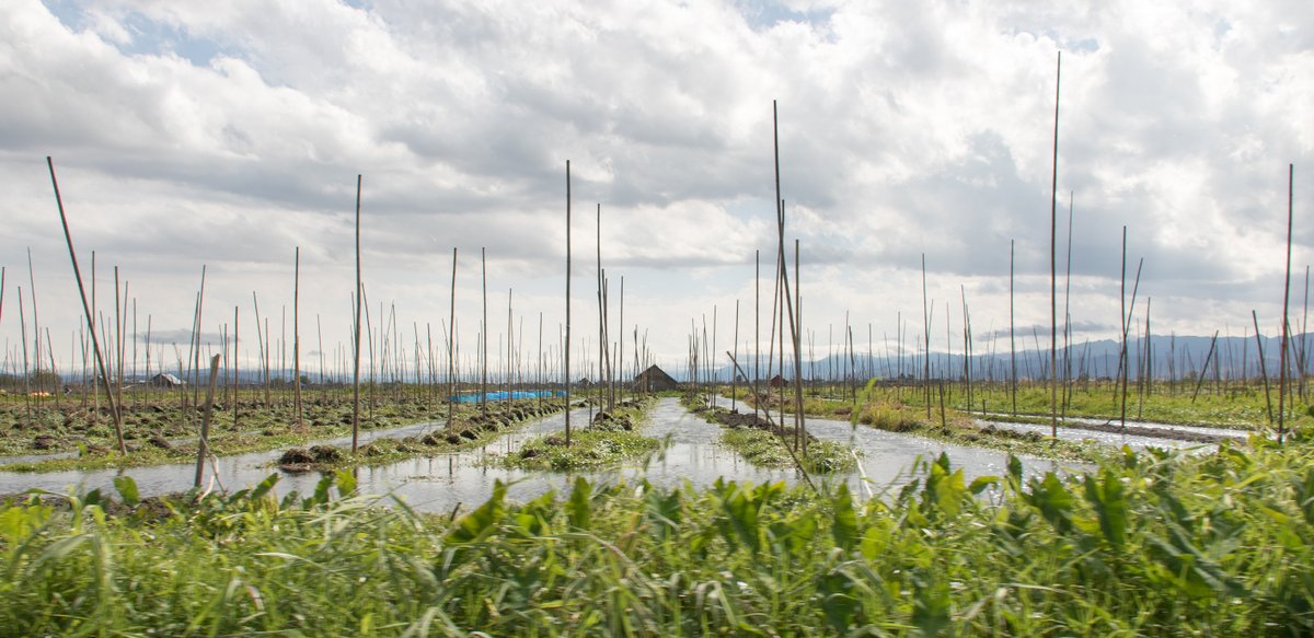 Floating Gardens Floating Gardens