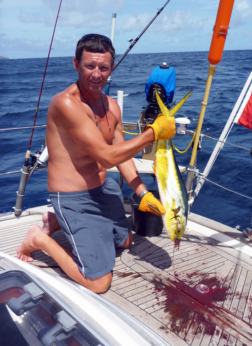 A Dispatched Dorado