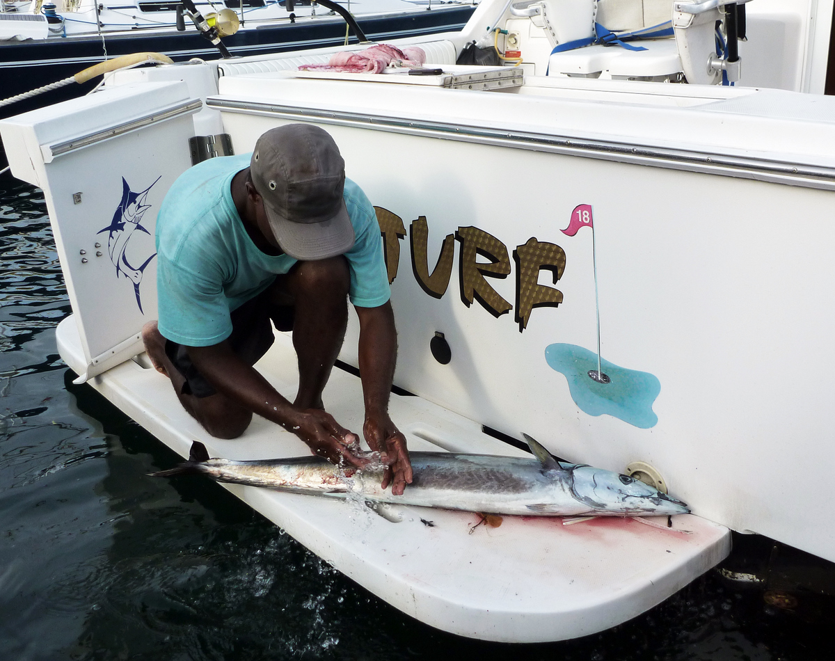 Wahoo caught on fishing trip