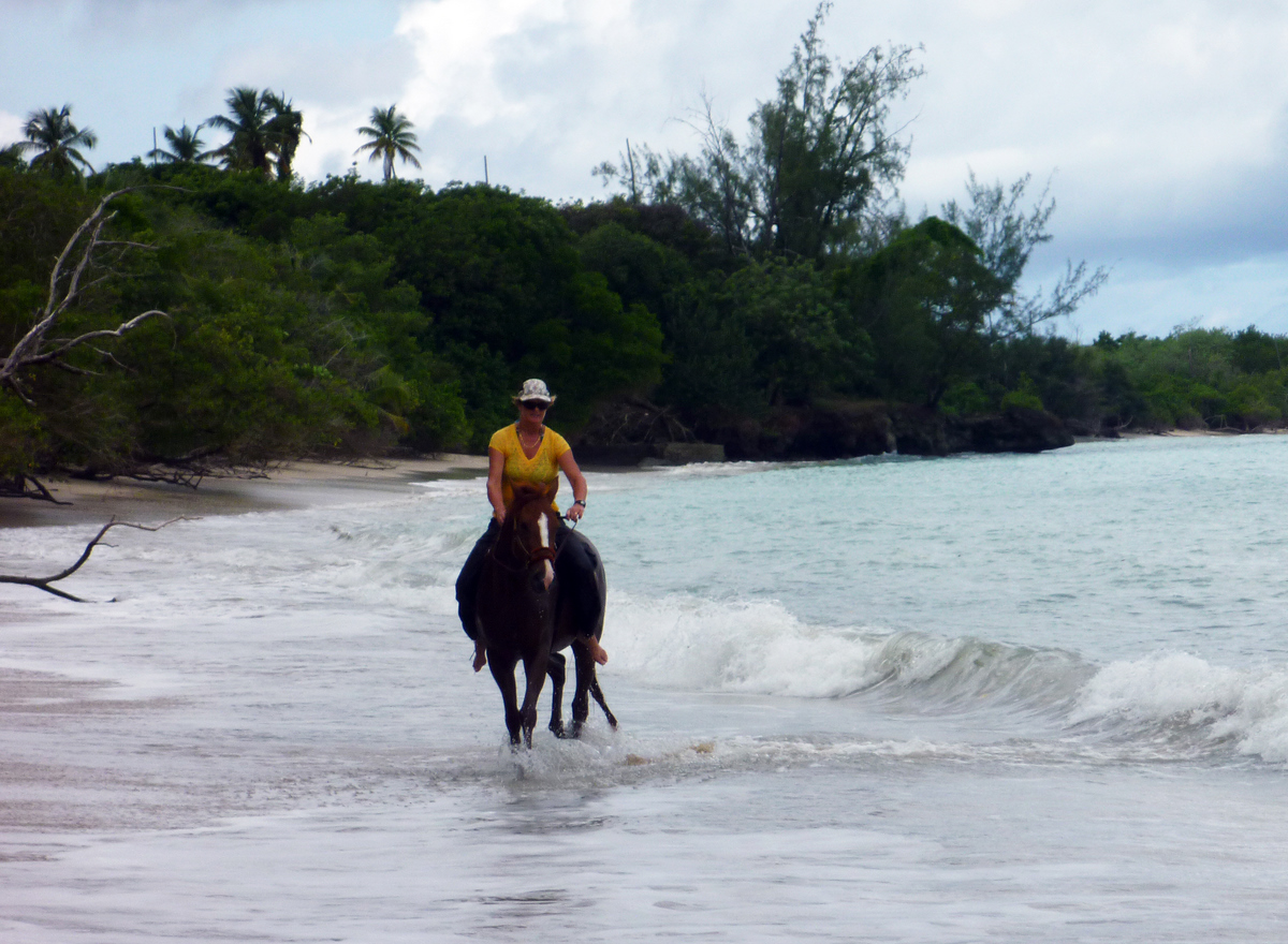Bareback horse riding, Tobago