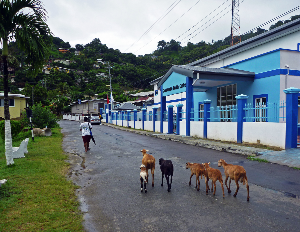 Charlotteville is a sleepy little town