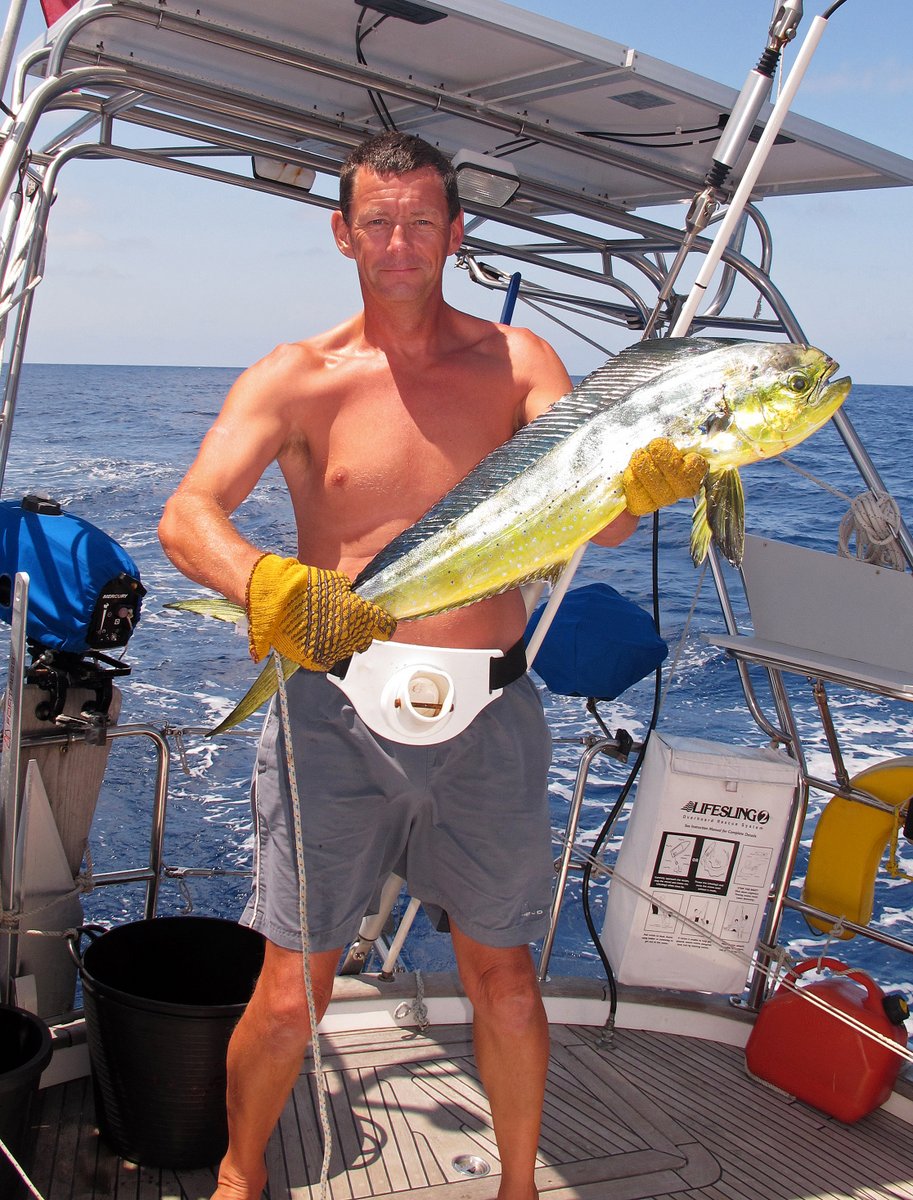 Nice Dorado Nice Dorado