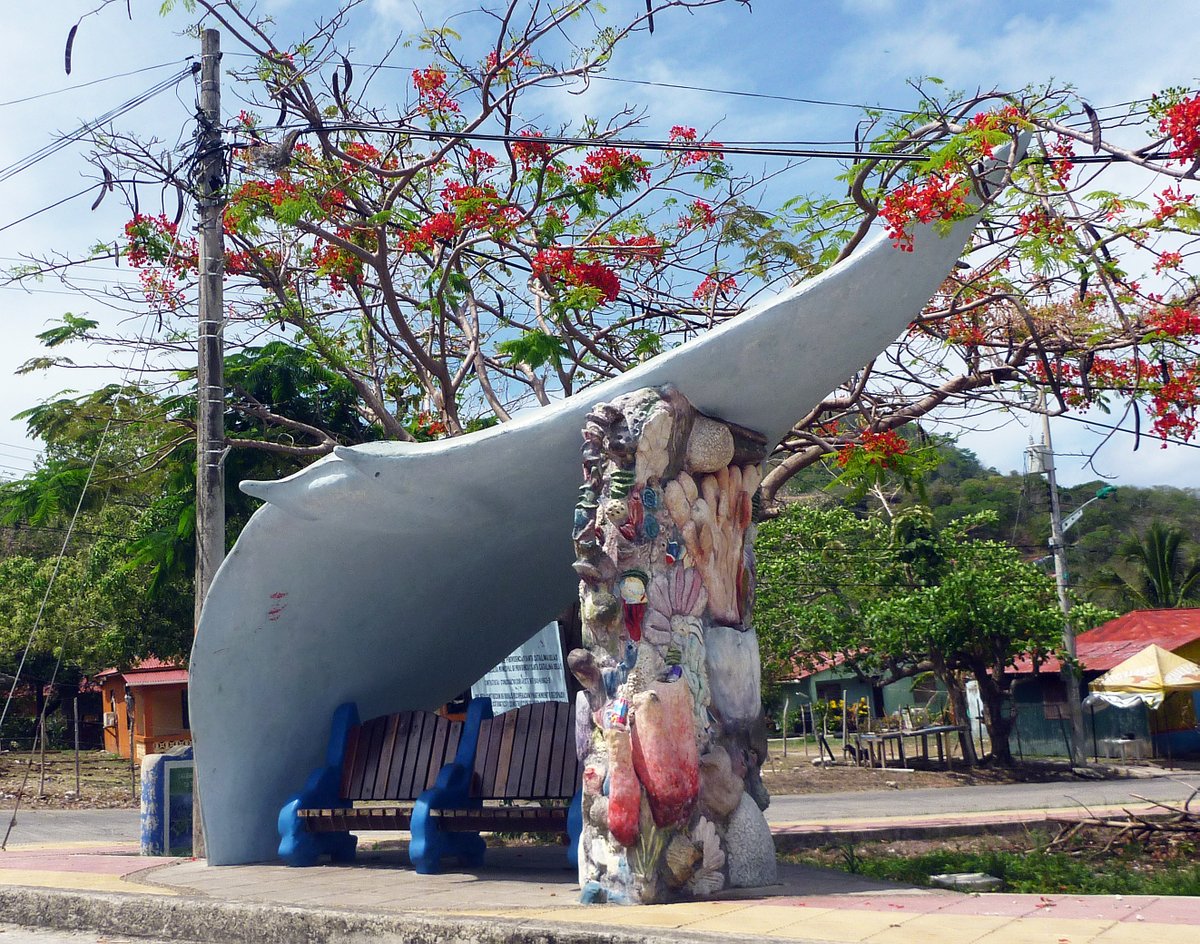 Cool Manta Ray bus shelter, Providencia, Colombia Cool Manta Ray bus shelter, Providencia, Colombia