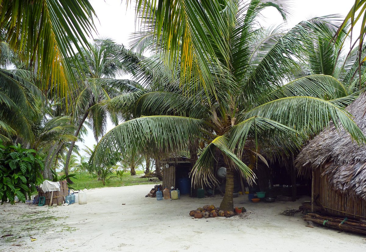 Kuna Home, Tiadup, San Blas Kuna Home, Tiadup, San Blas